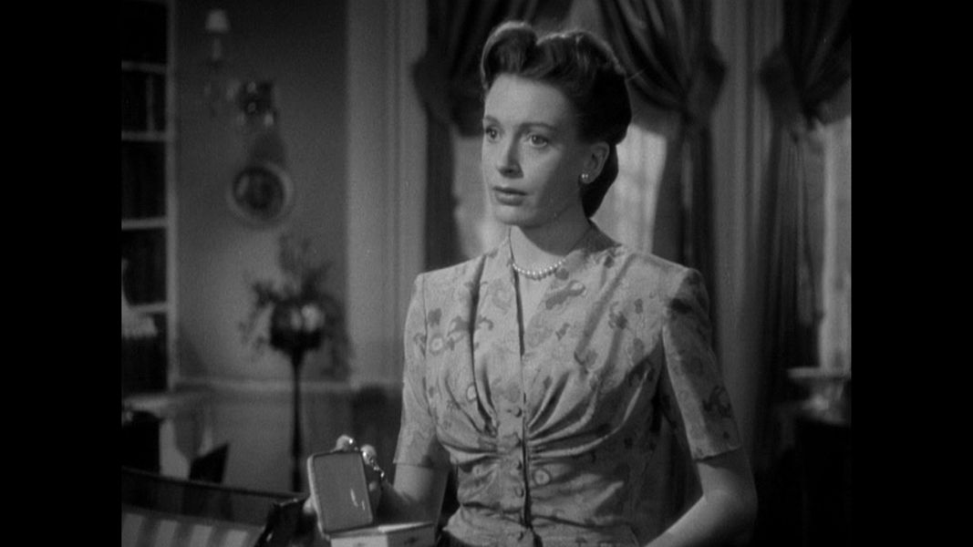 (Bild für) Der Windhund und die Lady - 1947 (DVD+R uncut)