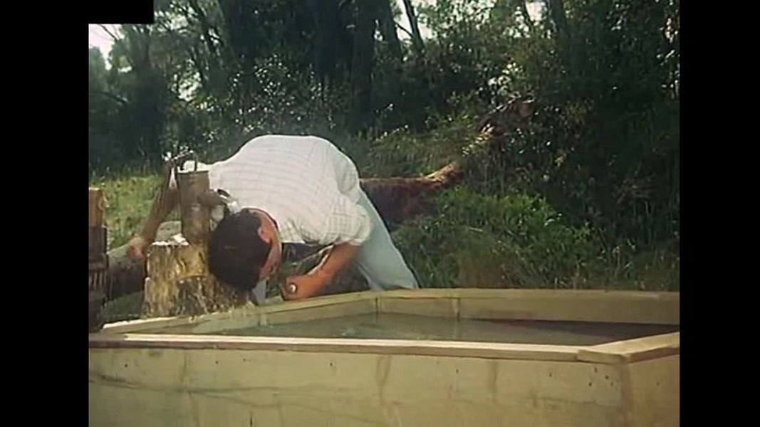 (Bild für) Tantchens Familiengrab - 1975 (DVD+R uncut)