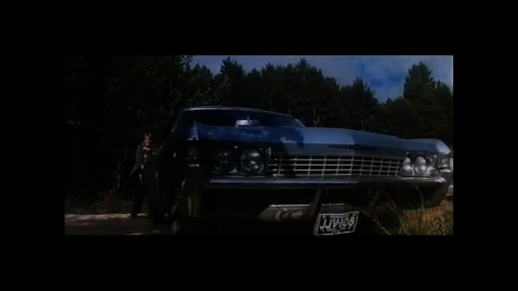 (Bild für) Open Season - 1974 (DVD+R)