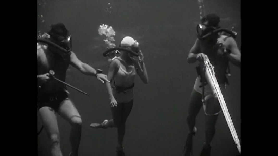 (Bild für) Das Ungeheuer ist unter uns - 1956 (DVD+R uncut)