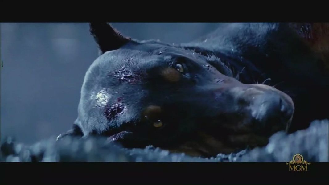 (Bild für) Gefährliche Freundschaft - 1991 (DVD+R)