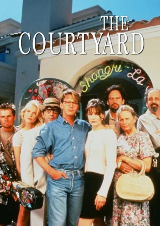 (Bild für) The Courtyard - 1995 (DVD+R uncut)