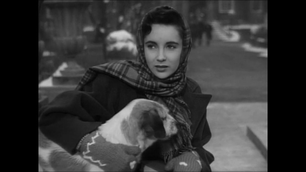 (Bild für) Cynthia - 1947 (DVD+R uncut)