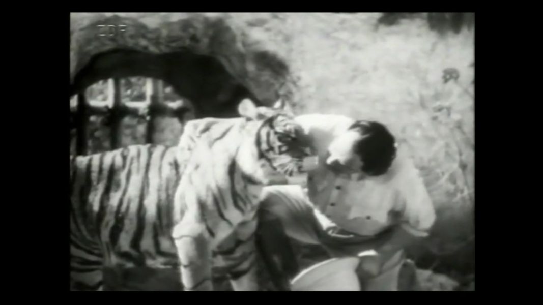 (Bild für) Der Dschungel ruft - 1936 (DVD+R uncut)