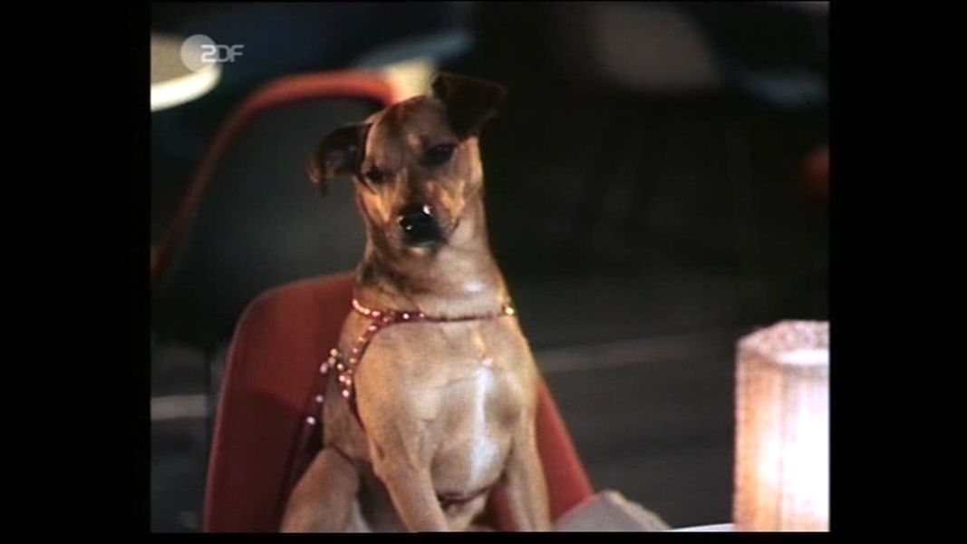 (Bild für) La Paloma - 1959 (DVD+R uncut)