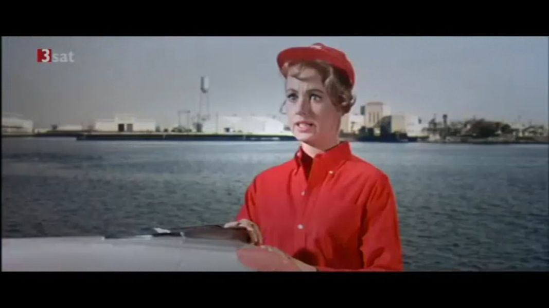 (Bild für) Eine Kitzlige Sache - 1963 (DVD+R)