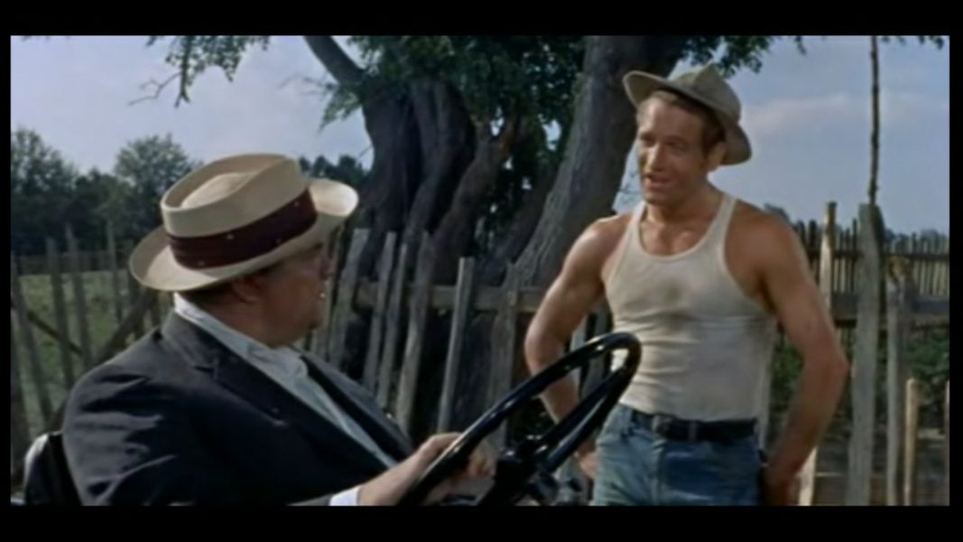 (Bild für) Der lange heiße Sommer - 1958 (DVD+R uncut)