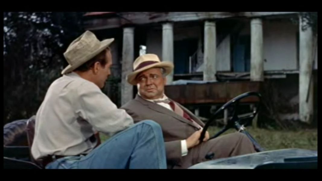 (Bild für) Der lange heiße Sommer - 1958 (DVD+R uncut)