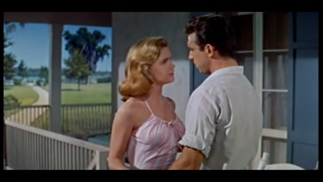 (Bild für) Der lange heiße Sommer - 1958 (DVD+R uncut)