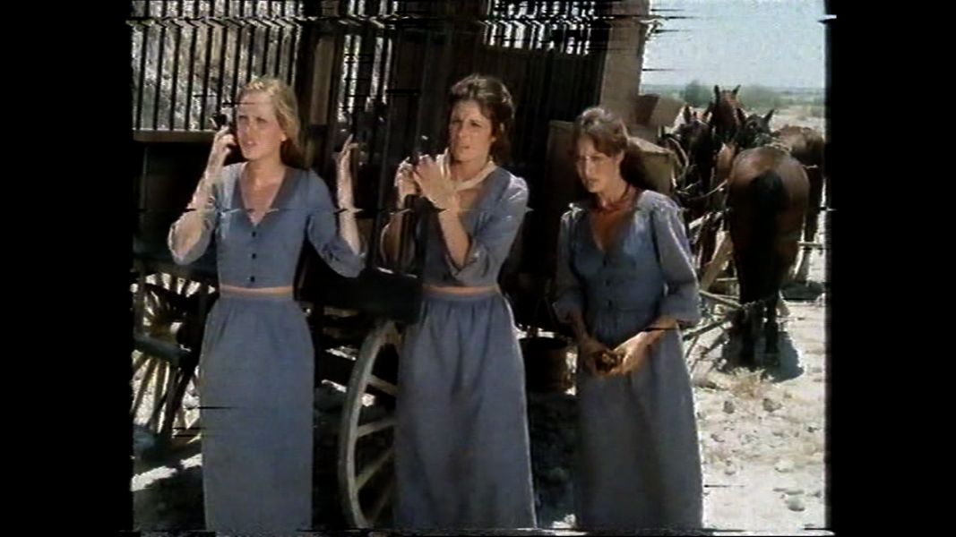 (Bild für) Survival - 1978 (DVD+R uncut)