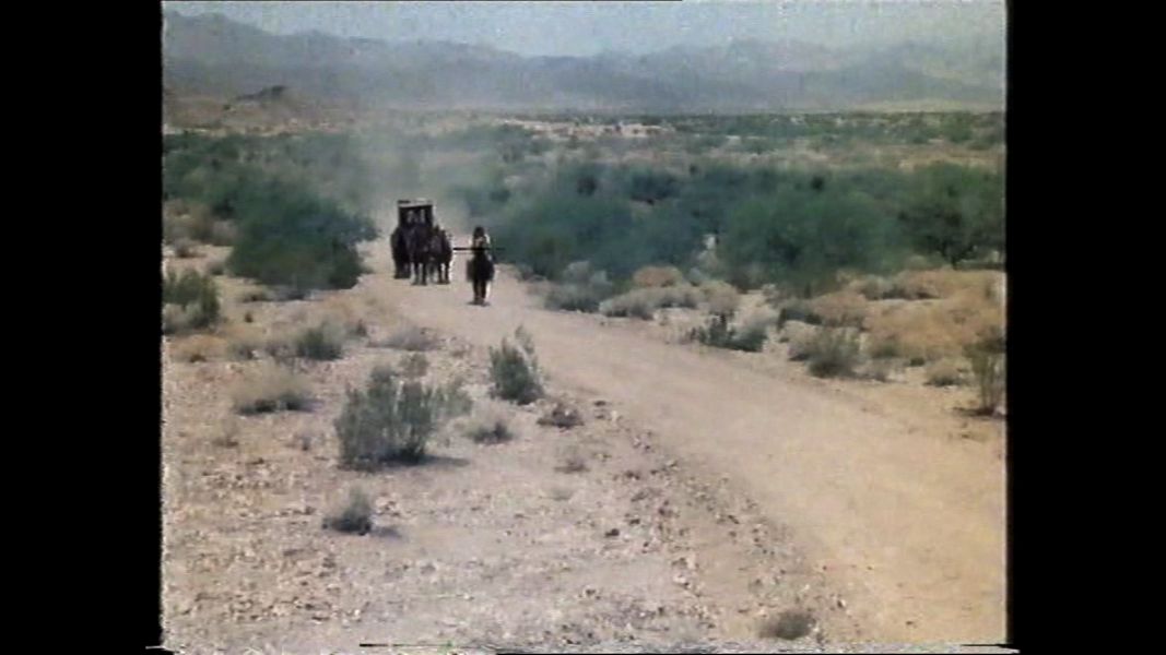 (Bild für) Survival - 1978 (DVD+R uncut)