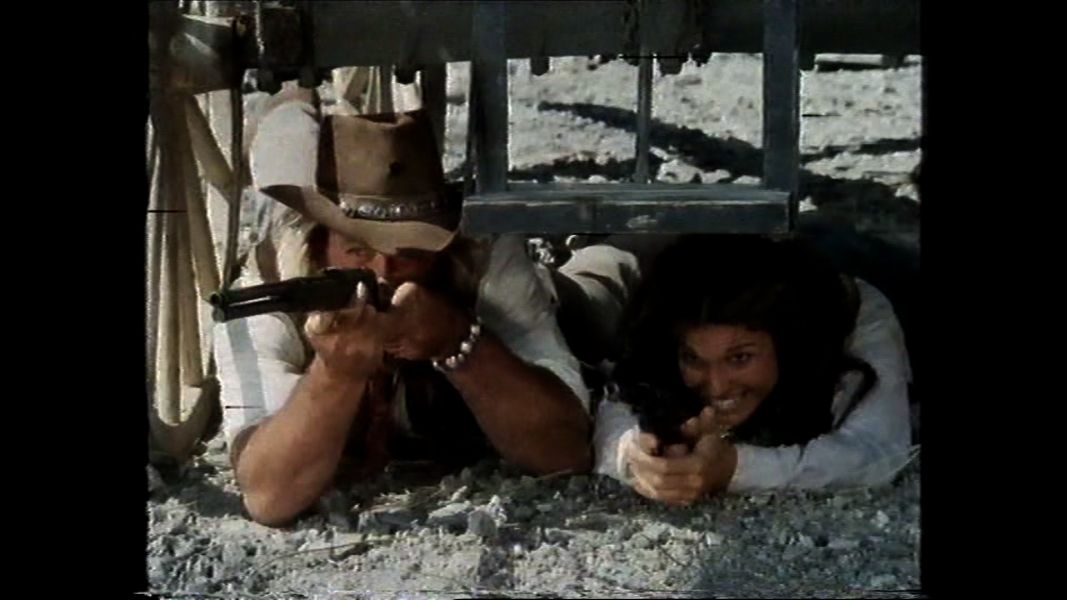 (Bild für) Survival - 1978 (DVD+R uncut)