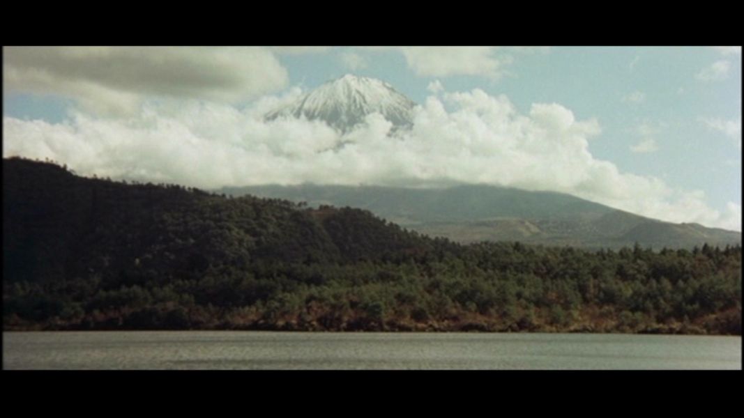 (Bild für) Giganten der Vorzeit - 1977 (DVD+R uncut)