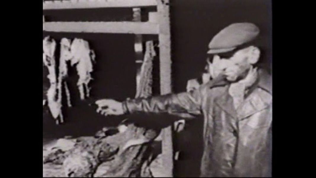 (Bild für) Der Ewige Jude - 1940 (DVD+R uncut)