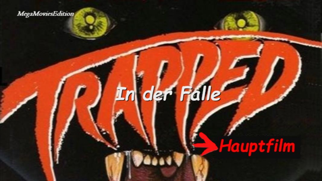 (Bild für) In der Falle - 1973 (DVD+R uncut)