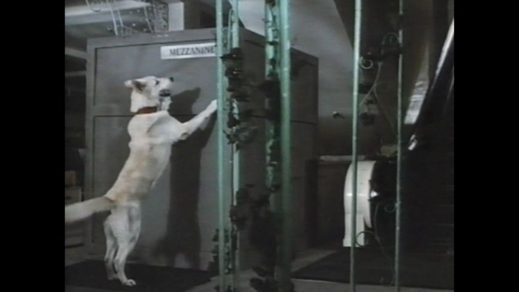(Bild für) In der Falle - 1973 (DVD+R uncut)