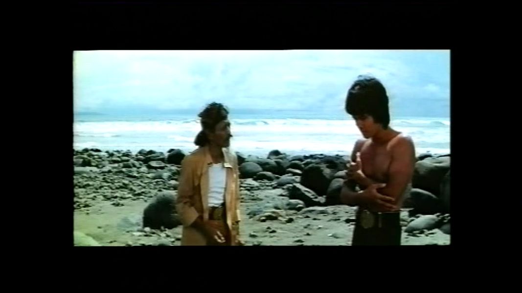 (Bild für) Im Würgegriff der roten Cobra - 1977 (DVD+R)