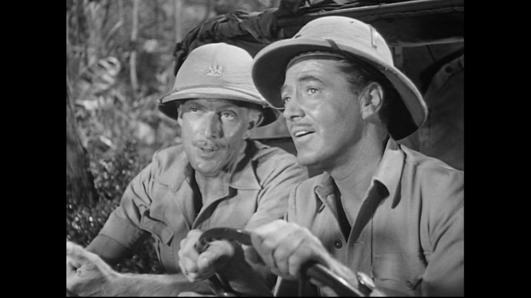 (Bild für) Tarzan und die Dschungelgöttin - 1951 (DVD+R uncut)