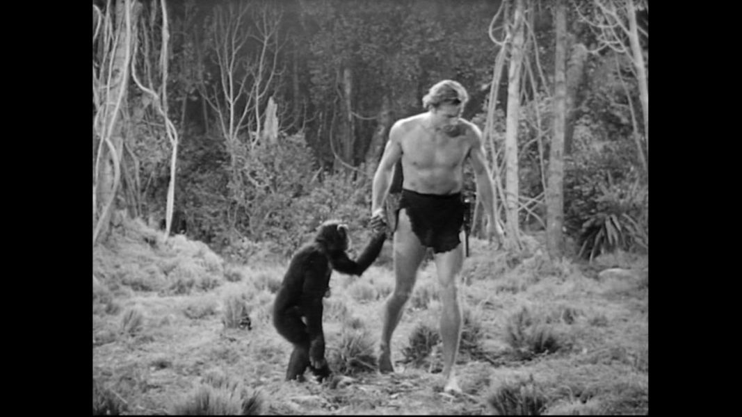 (Bild für) Tarzan und die Dschungelgöttin - 1951 (DVD+R uncut)