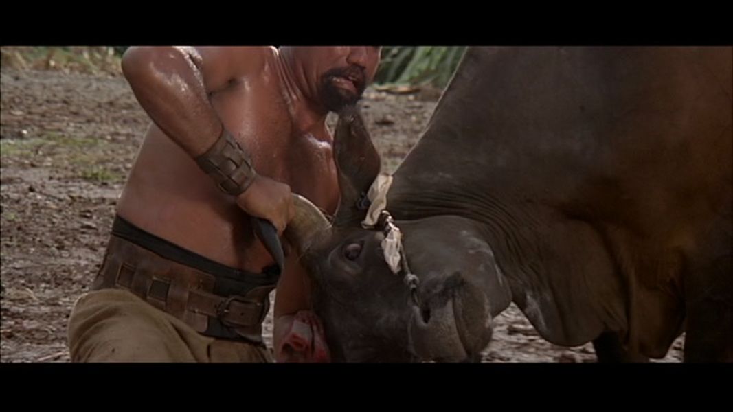 (Bild für) The Warrior - 1981 (DVD+R uncut)