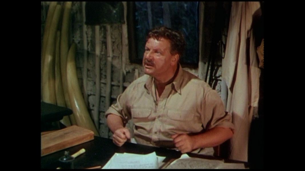 (Bild für) Weisse Frau am Kongo - 1953 (DVD+R uncut)