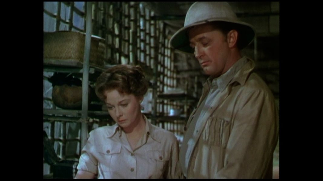 (Bild für) Weisse Frau am Kongo - 1953 (DVD+R uncut)