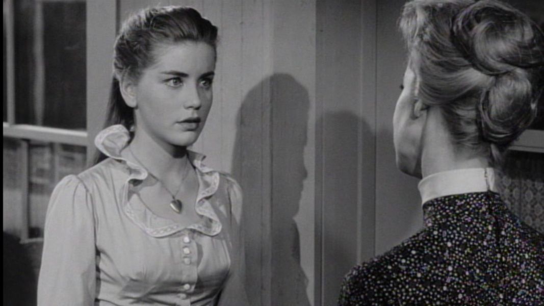 (Bild für) Die Plünderer - 1960 (DVD+R uncut)