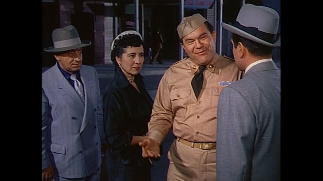 (Bild für) Mein Herz singt nur für Dich - 1952 (DVD+R uncut)
