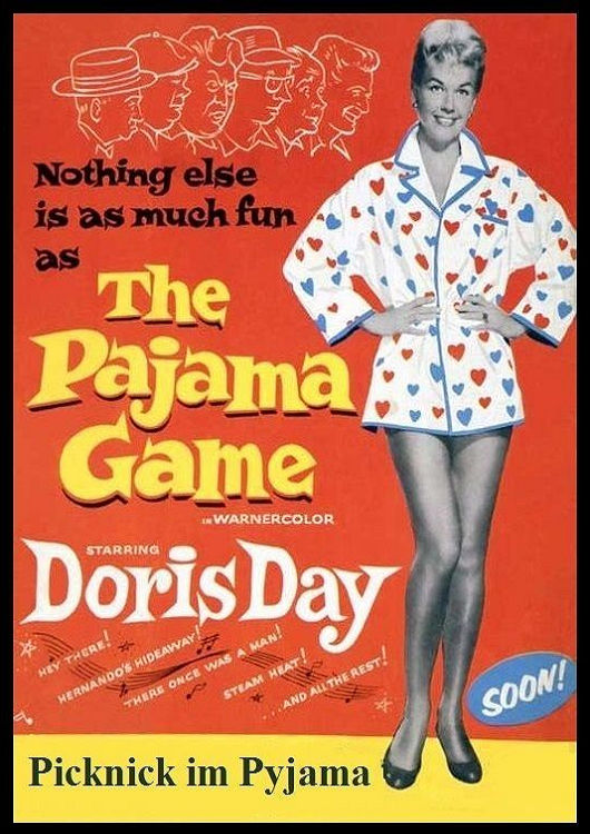 (Bild für) Picknick im Pyjama - 1957 (DVD+R uncut)