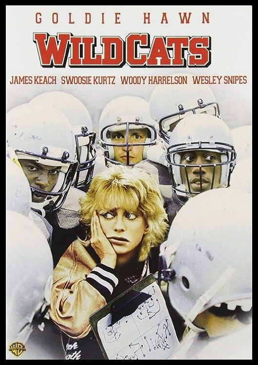 (Bild für) American Wildcats - 1986 (DVD+R uncut)