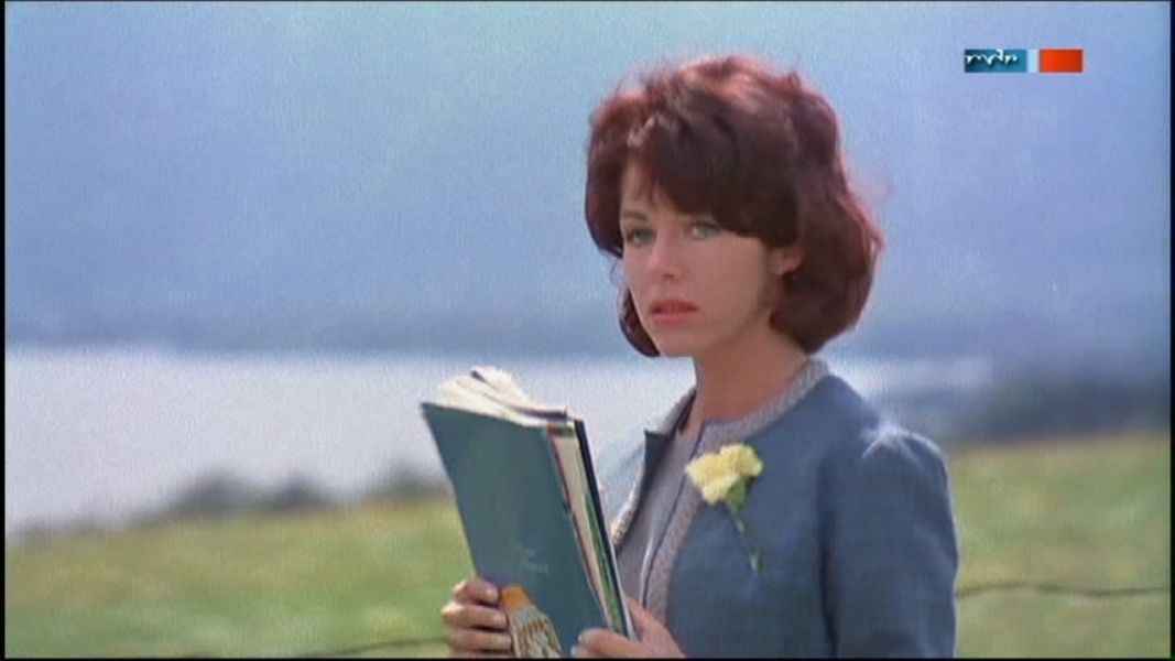 (Bild für) Liebling, ich muß dich erschießen - 1962 (DVD+R)