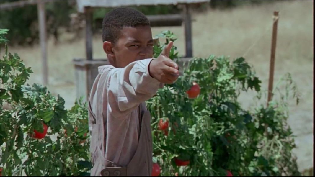 (Bild für) The Cherokee Kid - 1996 (DVD+R uncut)