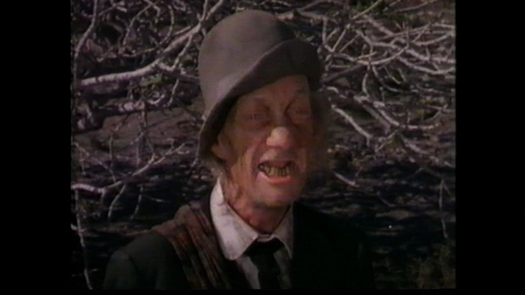 (Bild für) Alles fliegt dir um die Ohren - 1981 (DVD+R)