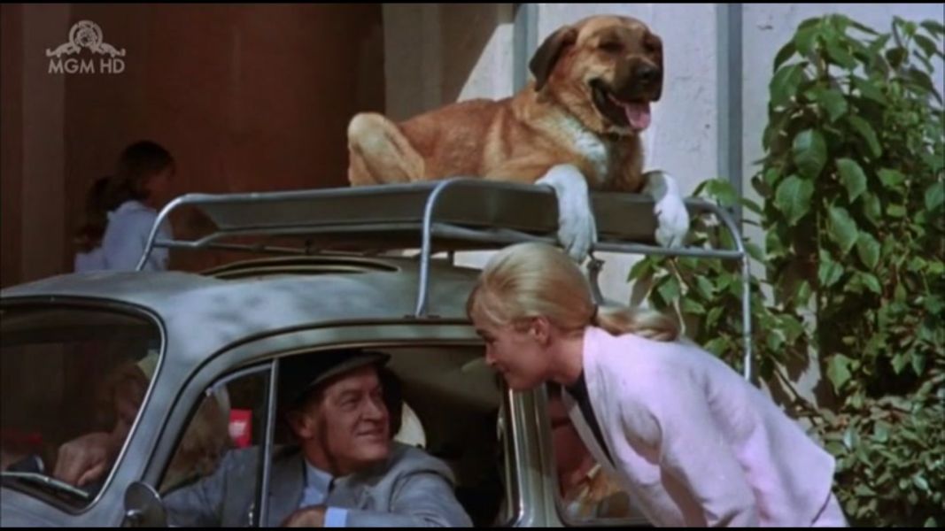 (Bild für) Acht gehen türmen - 1967 (DVD+R uncut)