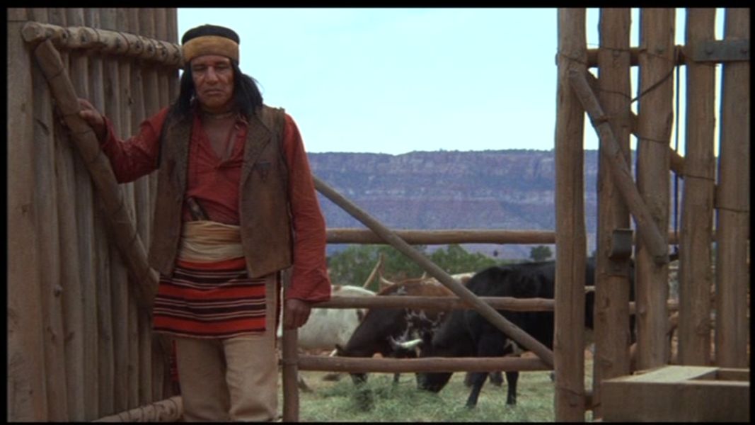 (Bild für) Ein Kamel im Wilden Westen - 1973 (DVD+R uncut)