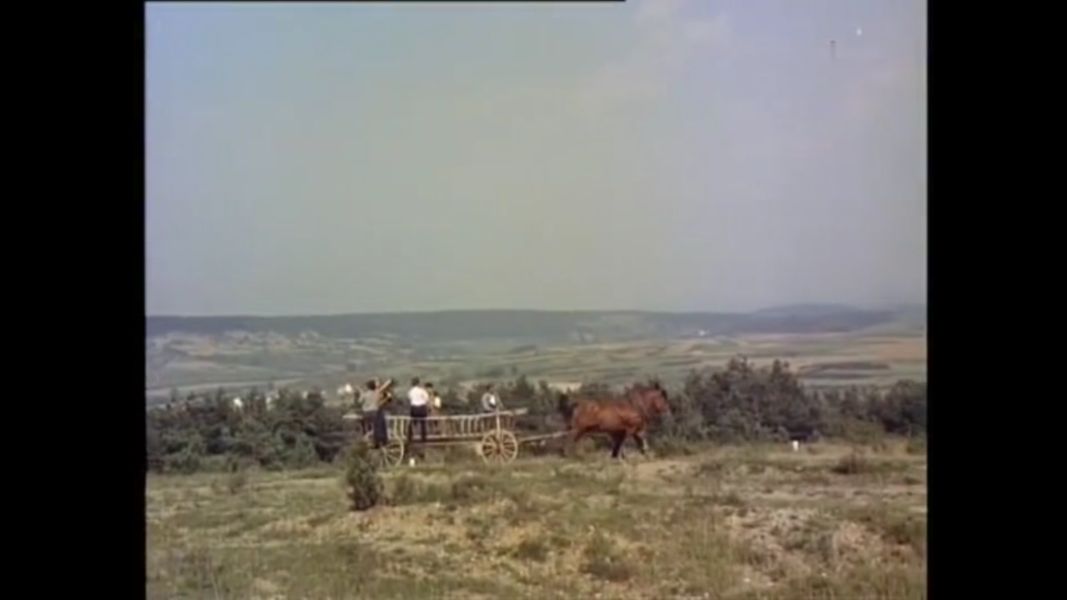 (Bild für) Sohn ohne Heimat - 1955 (DVD+R)