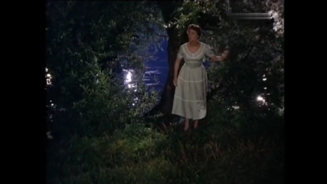 (Bild für) Sohn ohne Heimat - 1955 (DVD+R)