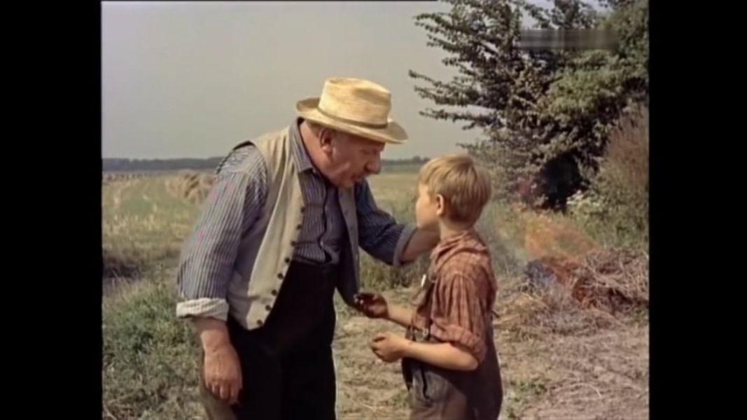 (Bild für) Sohn ohne Heimat - 1955 (DVD+R)