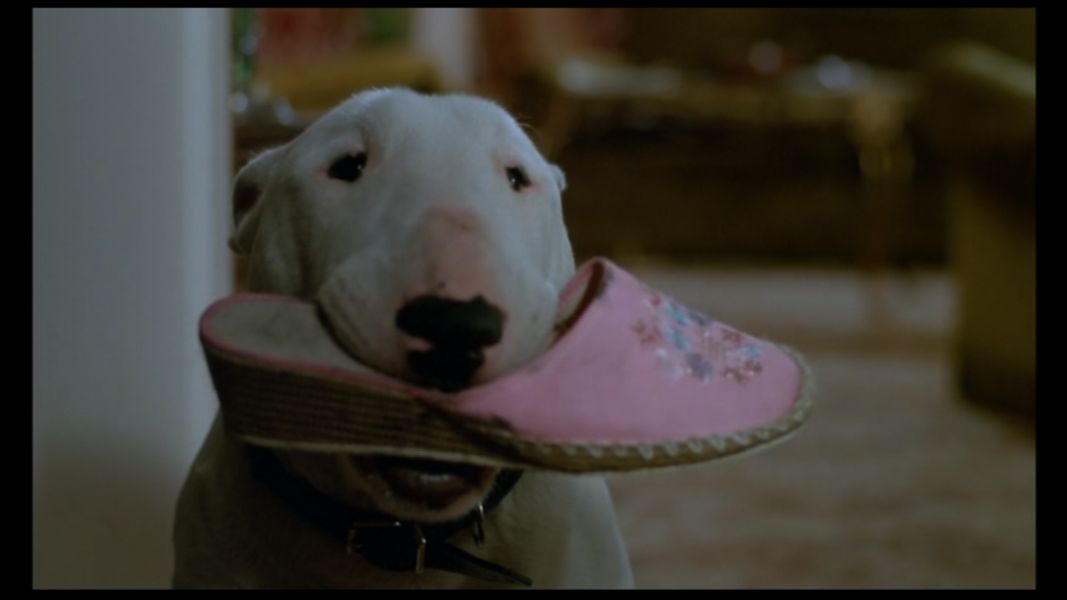 (Bild für) Baxter - 1989 (DVD+R uncut)