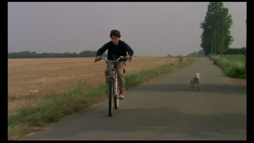 (Bild für) Baxter - 1989 (DVD+R uncut)