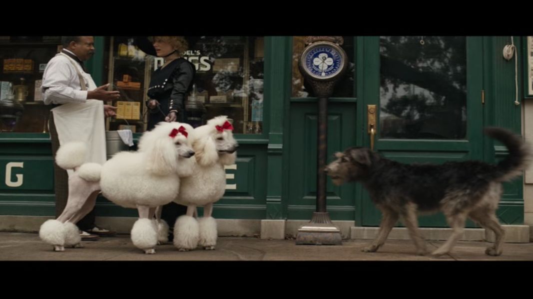 (Bild für) Susi und Strolch - 2019 (DVD+R uncut)