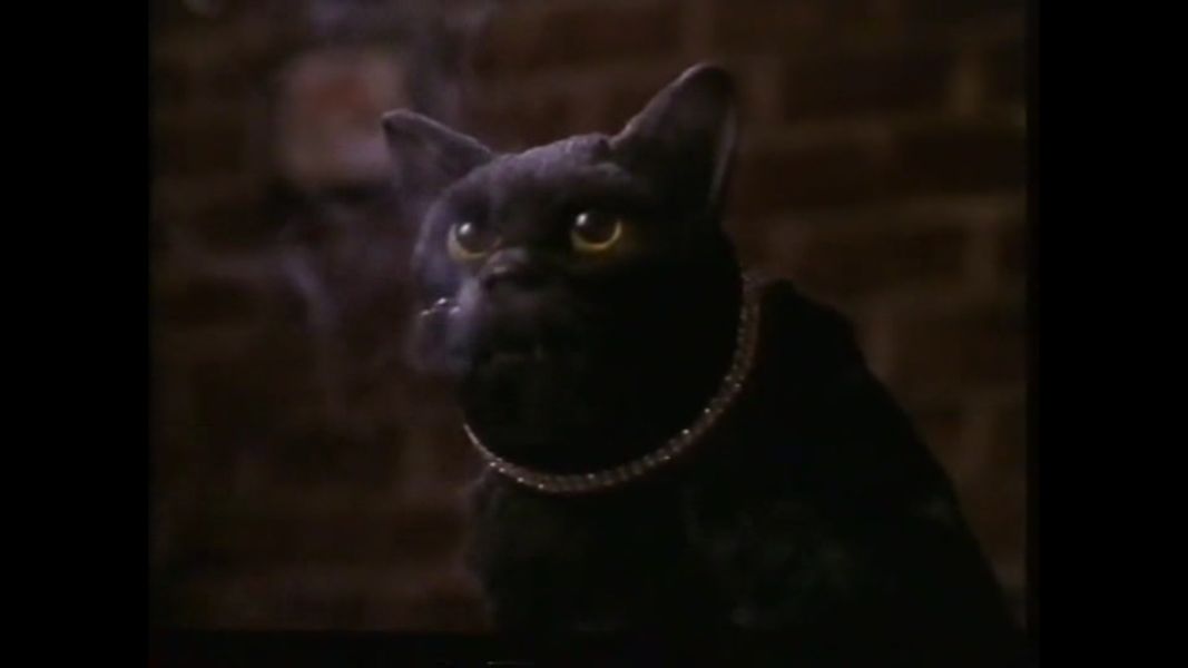 (Bild für) Tanz der Hexen - 1989 (DVD+R uncut)