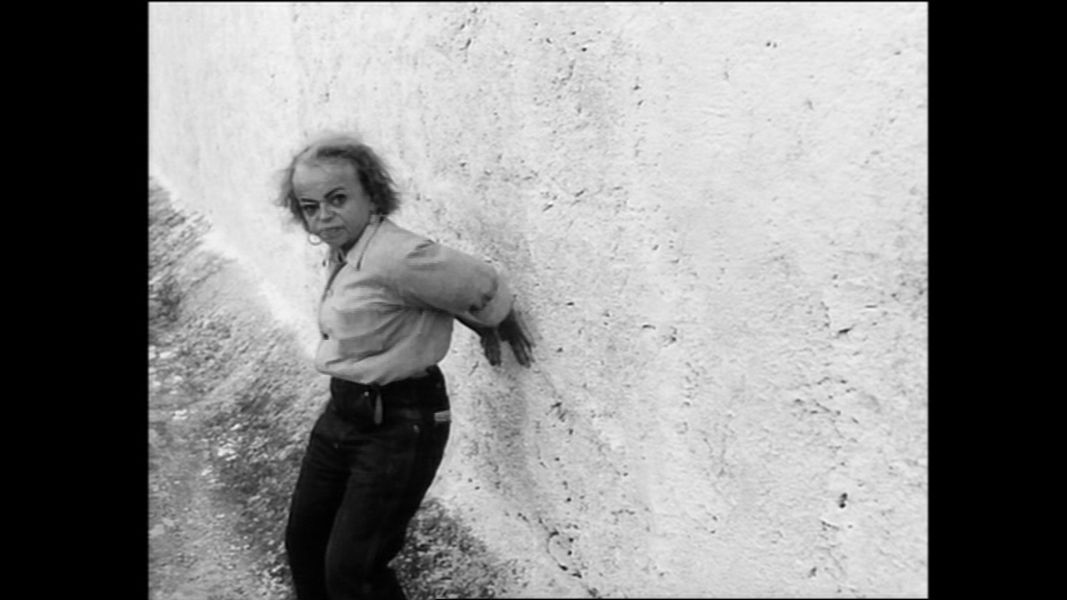 (Bild für) Auch Zwerge haben klein angefangen - 1970 (DVD+R uncut)