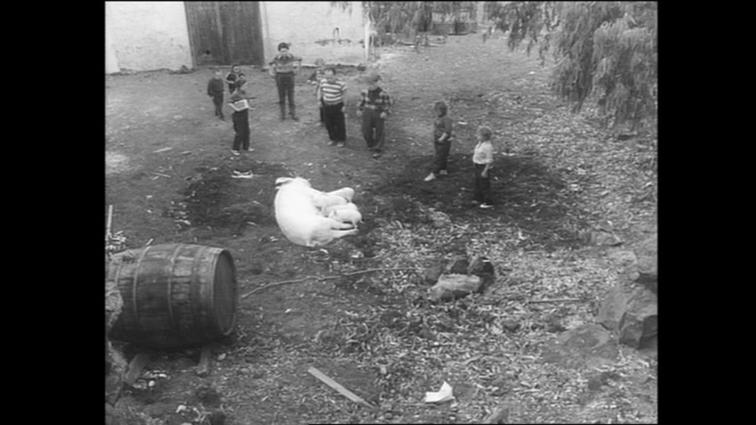 (Bild für) Auch Zwerge haben klein angefangen - 1970 (DVD+R uncut)