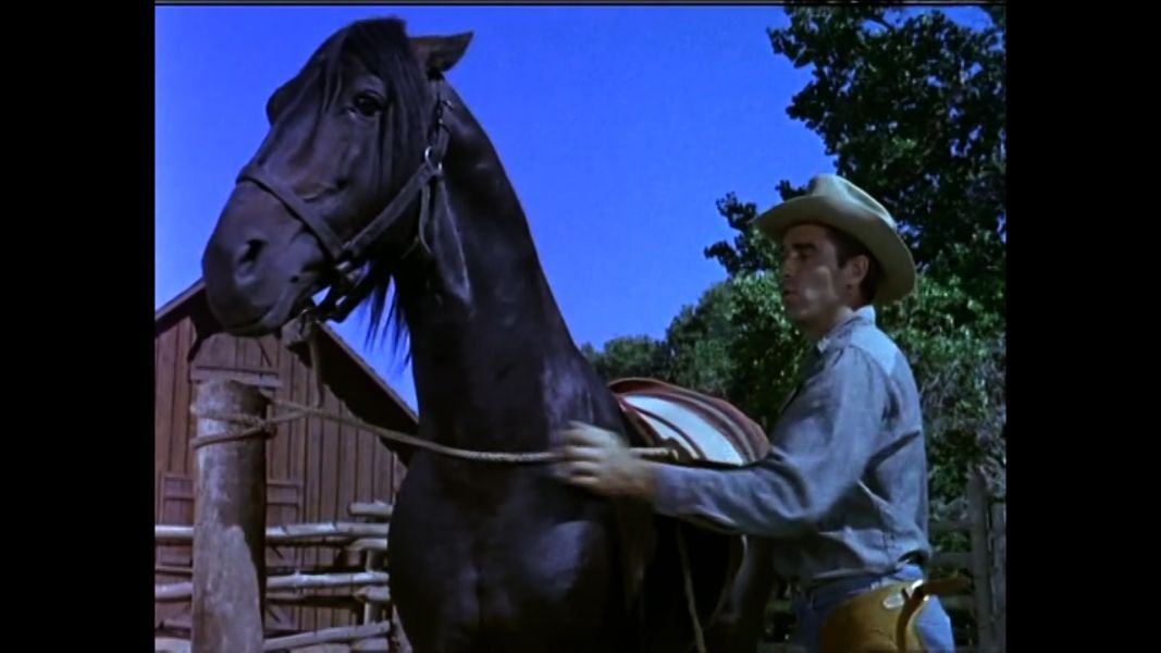 (Bild für) Der König der Wildnis - 1952 (DVD+R uncut)