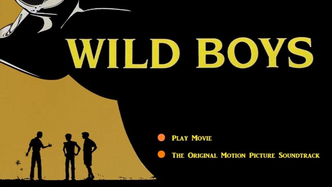 (Bild für) Wild Boys - Der Sommer ihres Lebens - 1990 (DVD+R uncut) - zum Schließen ins Bild klicken