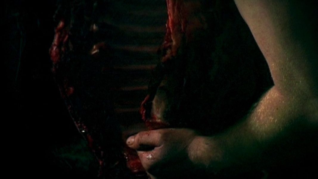 (Bild für) Cannibal - 2005 (DVD+R uncut)