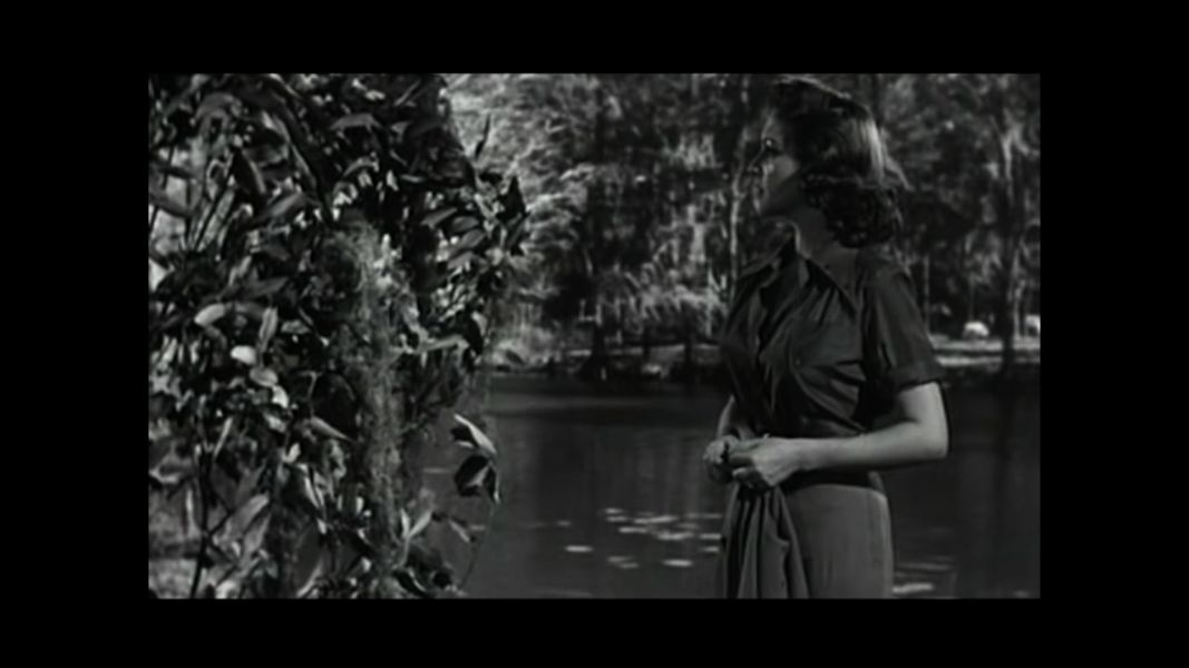 (Bild für) Im Dunkel der Nacht - 1956 (DVD+R uncut)