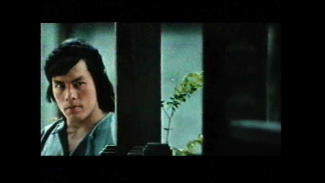 (Bild für) Stärker als 1000 Drachen - 1976 (DVD+R)