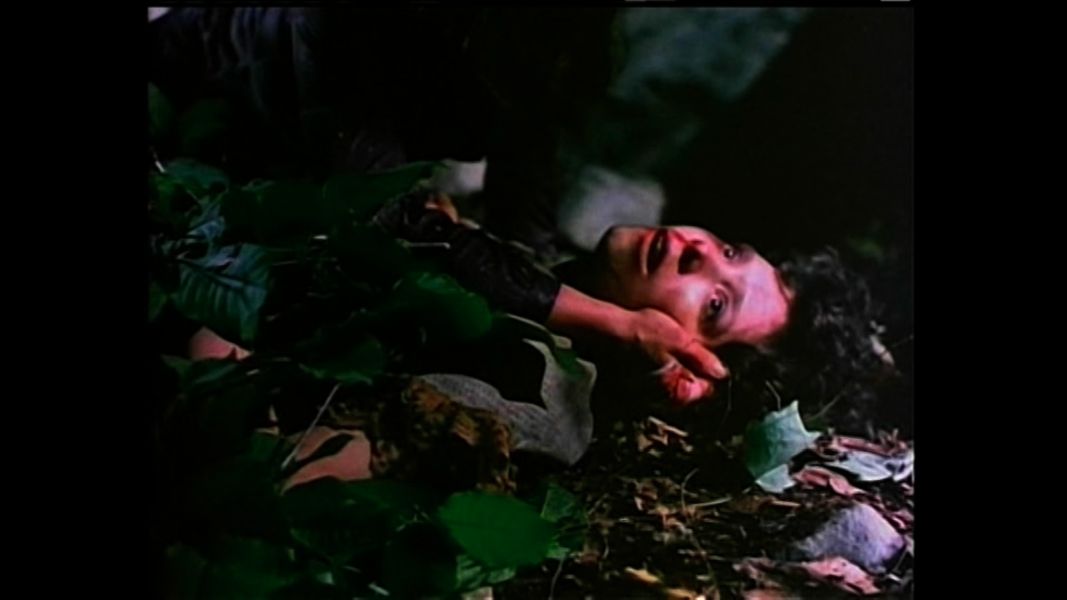 (Bild für) Muttertag - 1980 (DVD+R uncut)